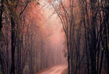 天涯鬼话十大神贴大揭秘