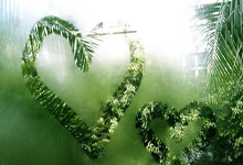 天涯顶级神贴大揭秘：那些让人high翻天的论坛经典