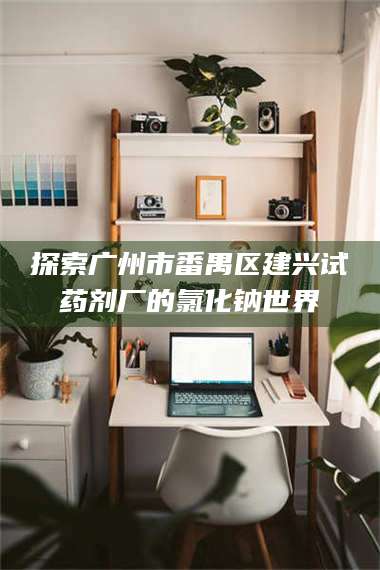 孟津探索广州市番禺区建兴试药剂厂的氯化钠世界 第1张