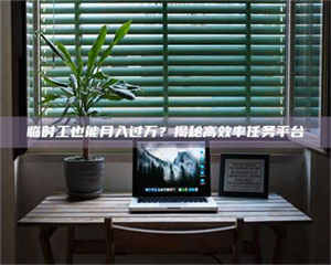 孟津临时工也能月入过万？揭秘高效率任务平台 第1张