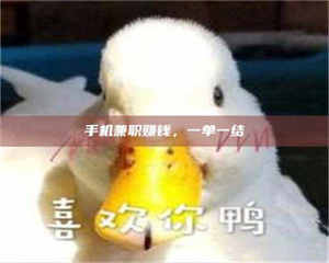 孟津手机兼职赚钱，一单一结 第1张