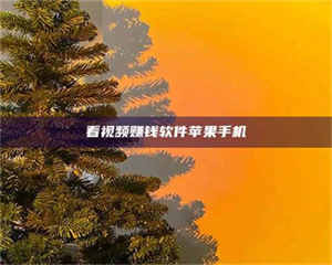 孟津看视频赚钱软件苹果手机 第1张