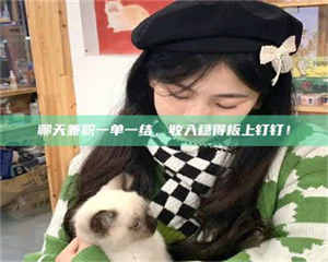 孟津聊天兼职一单一结，收入稳得板上钉钉！ 第1张