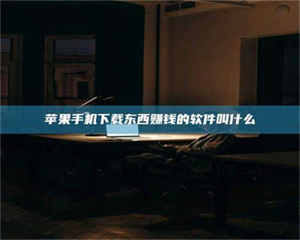 孟津苹果手机下载东西赚钱的软件叫什么 第1张