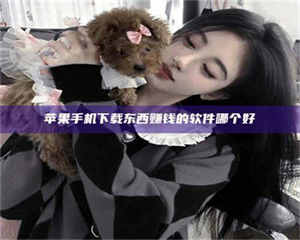 孟津苹果手机下载东西赚钱的软件哪个好 第1张