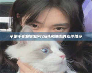 孟津苹果手机刷机后可以用来赚钱的软件推荐 第1张